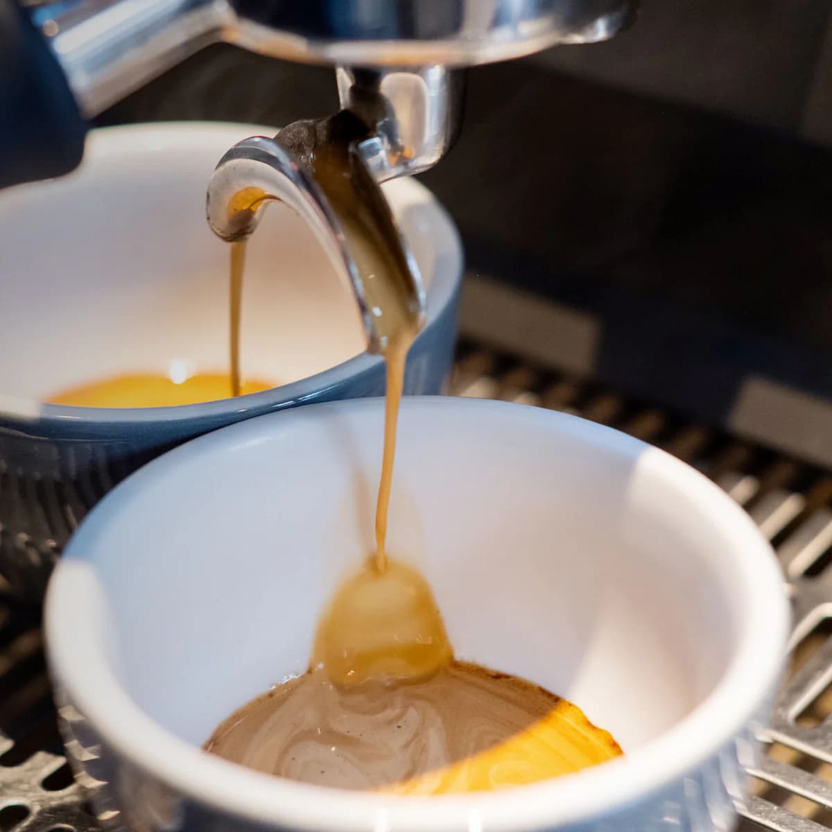 elbgold roasting craft